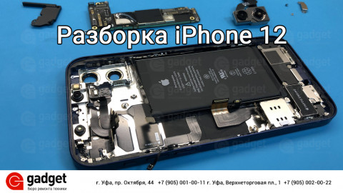 Разборка iPhone 12: что интересного внутри?