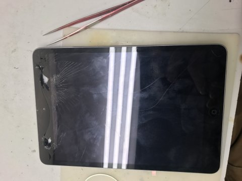 Ремонт в Уфе iPad mini.