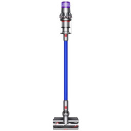 Dyson V11